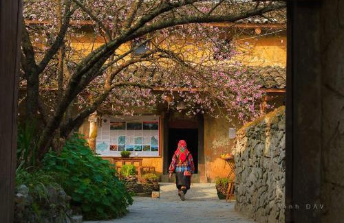 Dong Van Casa | Homestay & Cafe Cực Bắc