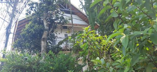 Sea View Ward Cama Y Desayuno | Homestay DGH