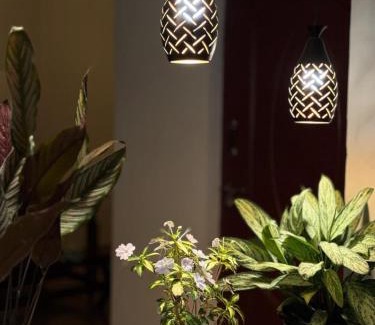 Devikolam Casa | Homestay INN Munnar