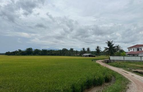 Kampung Teluk Wang Besar Casa | Homestay Teluk Bayu