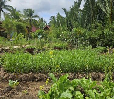 Mo Cay Nam Cabina | Homestay Xóm Quê