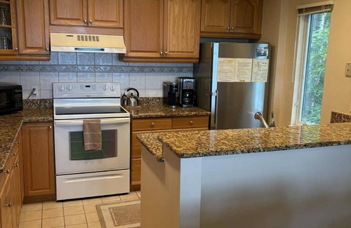 Maple City Condominio | Condominio Homestead, Hermosa vista del lago MI $ Isla Manitau. A / C, cable y wifi