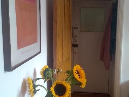 Lambeth Cama Y Desayuno | Homey, warm & welcoming room.