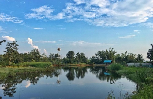 Khlong Muang Otro | Homtel Farmstay Campgrounds