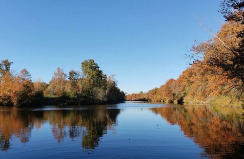 Henry County Cabina | Honey Creek Hideaway at Back Country Camp