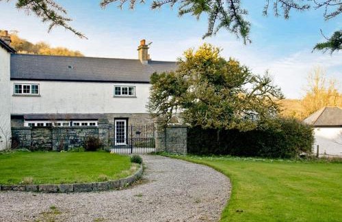 Newton Abbot Casa | Honeybags-Uk12422