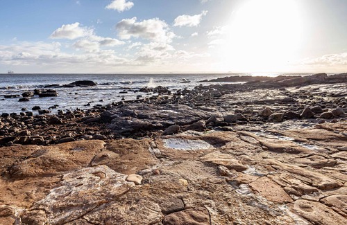 Kilrenny Cabaña | Honeybee Cottage | Cellardyke