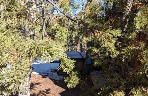 Cripple Creek Cabaña | Honeymooner’s Cozy Cabin, with Hot Tub, near Cripple Creek - Last minute deals?