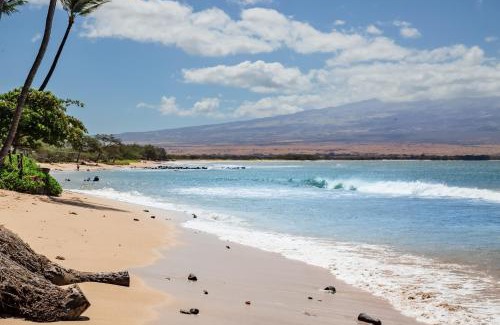 Maalaea Apartamento | Hono Kai B17