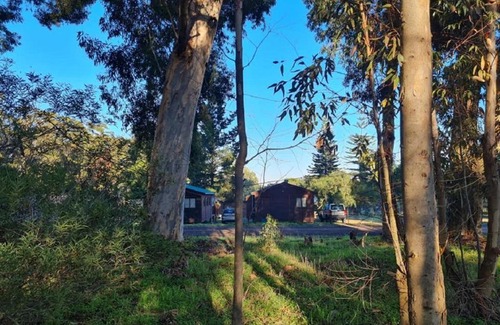 Trawal Apartamento | Hoogeland's Wood Cabins