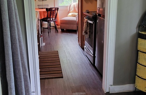 Gladwin Cabaña | Hoots Nest casual cottage -private firepit nights, close to small towns & lakes!
