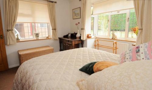 Gravesend Apartamento | Hopewell self-catering