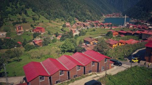 Uzungol Villa | Horio Villa