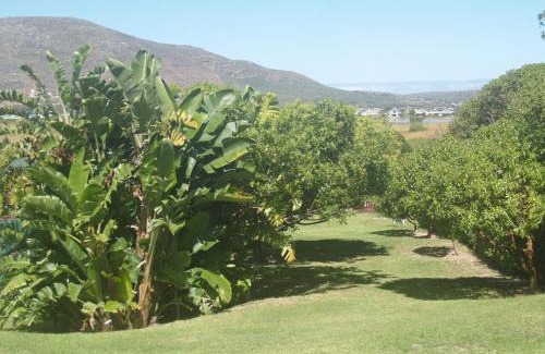 Noordhoek Apartamento | Horizon Cottages