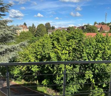 Niederbronn-les-Bains Apartamento | Horizons du Haut