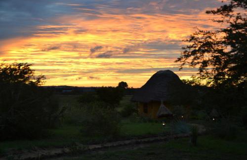 Pakwach Cabina | Hornbill Bush Lodge
