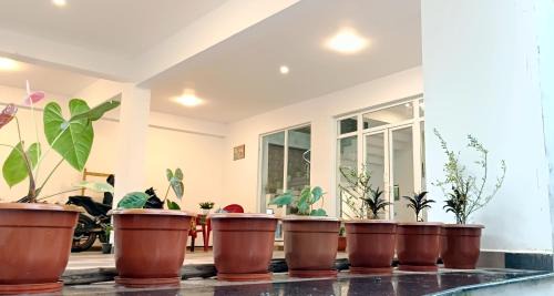 Valparai Cama Y Desayuno | Hornbill Castle