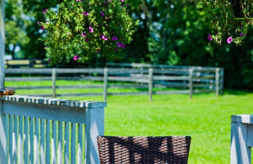 Lexington Casa | Caballo cielo! Casa de campo ubicada en el corazón de Lexington Kentucky