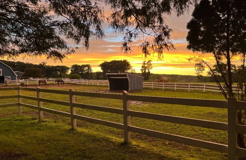 Oxford Casa | Horse Heaven