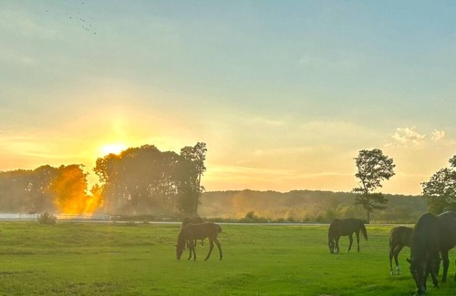 Oxford Casa | Horse Heaven