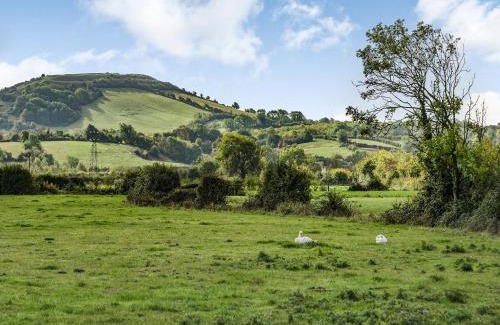 Weston-super-Mare Casa | Horseshoe Cottage-Uk37360