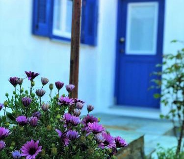 Horto Casa | HORTO HOUSE