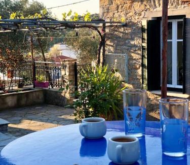 Horto Casa | HORTO HOUSE
