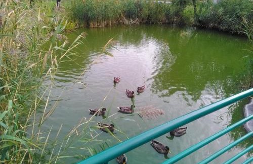 Cserkeszolo Apartamento | Horváth Apartman