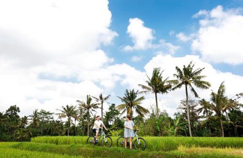 Melayang Complejo | Hoshinoya Bali