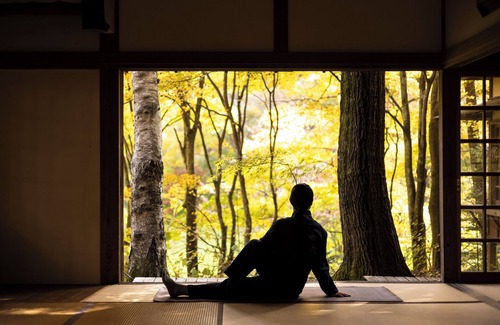 Kitasaku-gun Cabina | HOSHINOYA Karuizawa