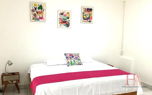 Tuxpan Apartamento | Hospedaje Aldana Apartamento AURA Centro Histórico