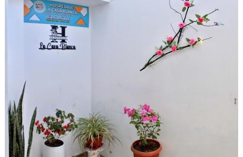 Nuevo Chimbote Casa | Hospedaje La Casa Blanca