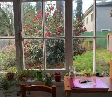 Valdivia Cama Y Desayuno | Hospedaje en borde río
