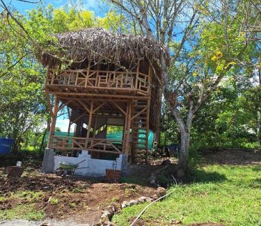 San Agustin Casa | Hospedaje Finca el Mono