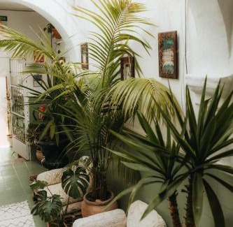 Tarifa Casa | Hostal Africa