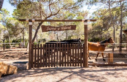 Santa Eulalia del Río Casa | Hostal Cala Boix