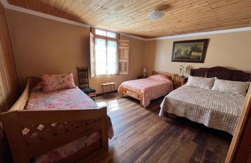 Vicuna Casa | Hostal Casa Rosada, Valle del Elqui