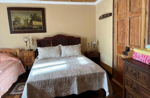 Vicuna Casa | Hostal Casa Rosada, Valle del Elqui