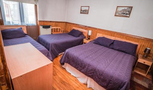 Punta Arenas Casa | Hostal Chalet Las Violetas