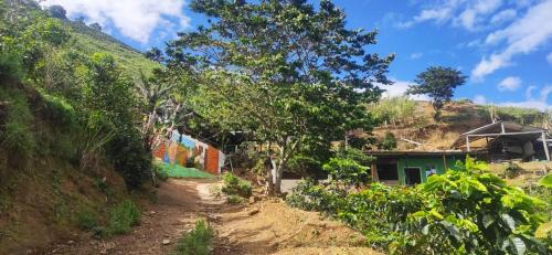 La Jagua de Ibirico Casa | Hostal el Forastero