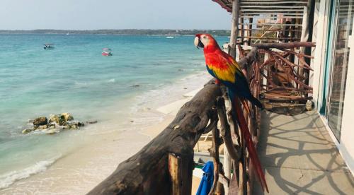 Bocachica Casa | HOSTAL LAMAR BARU dónde Gertrudis