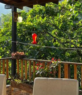 Minca Casa | Hostal Los Wichos