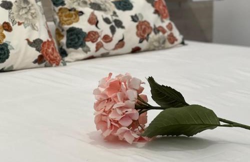 Centro Casa | Hostal Rías Bajas