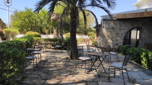 Alcudia Casa | Hostal Residencia Alma