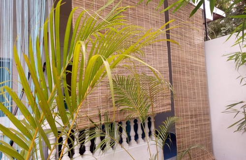 Palolem Hostal | Hostal ∙ 8 personas