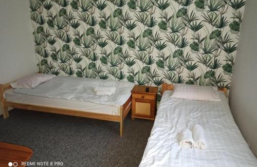 Rzeszow Hostal | Hostel Los Amigos