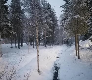 Rovaniemi Hostal | Hostel Tikka