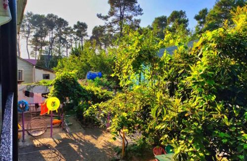 Magnetiti Casa | Hostel Ureki Kidobani