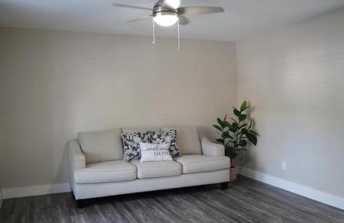 Tampa Casa | Hosting new