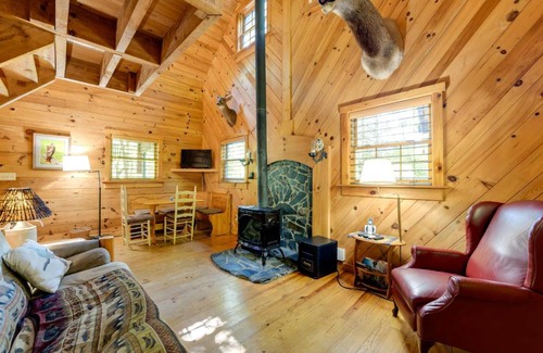 Asheville Casa | Hot Tub and Furnished Porch Balsam Grove Cabin